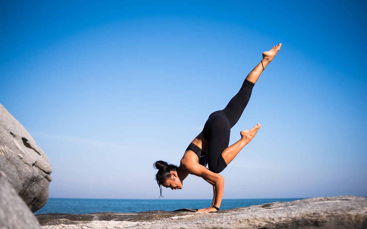 Ibexpower Fitness Club collection